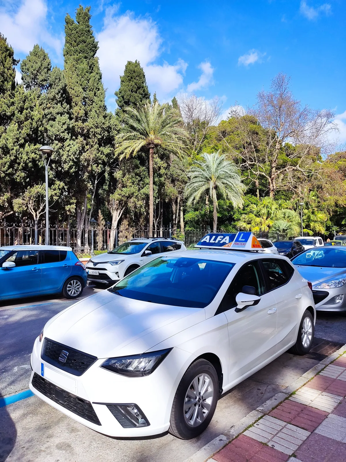 Recogida coche de autoescuela en Marbella Centro